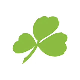  Aer Lingus Kortingscode